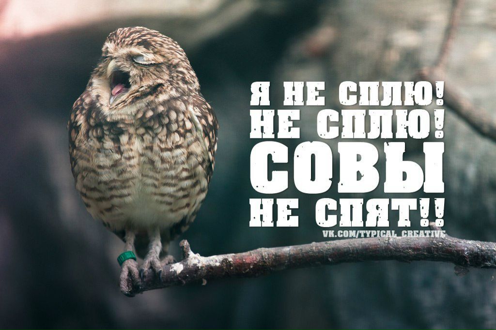 Уассилисска Корабельникова | Москва