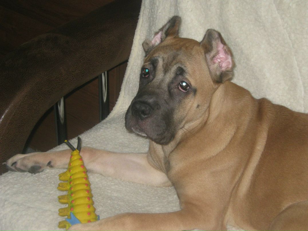 Ольга Печенко | Санкт-Петербург