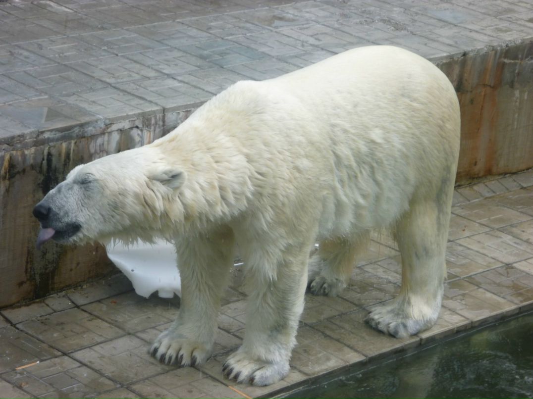 Егор Роганов | Новосибирск