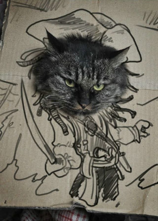 Сергей Козлов | Новосибирск