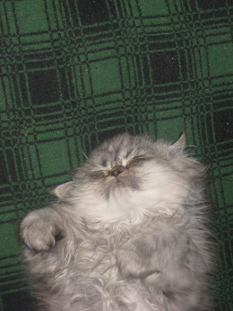 Александр Секисов | Санкт-Петербург