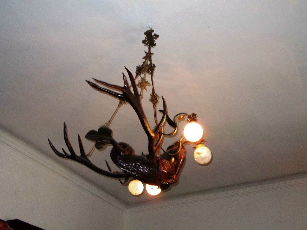 Виктория Музычук | Ковель