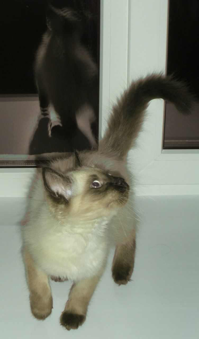 Андрей Исаак | Вологда