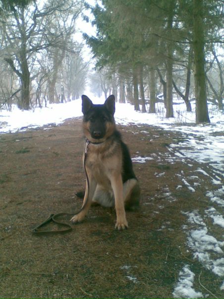 №86, Андрюха Волощенко №86, Андрюха Волощенко