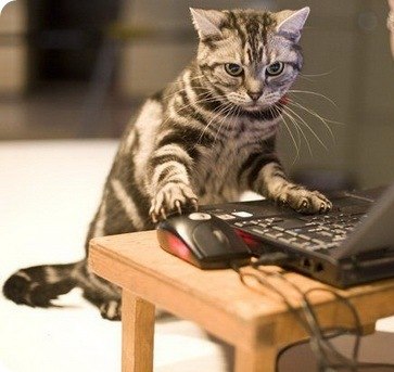 Борис Мартынюк कमेन्ट संगीतले मलाई प | 