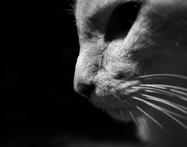 №198, Кирилл Фролов, Москва №198, Кирилл Фролов, Москва