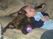 №4, Андрей Спектор, 17.9, Санкт-Петербург, Россия №4, Андрей Спектор, 17.9, Санкт-Петербург, Россия