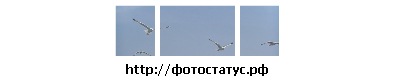 №95, Нина Кулиш, 44 года, Санкт-Петербург №95, Нина Кулиш, 44 года, Санкт-Петербург