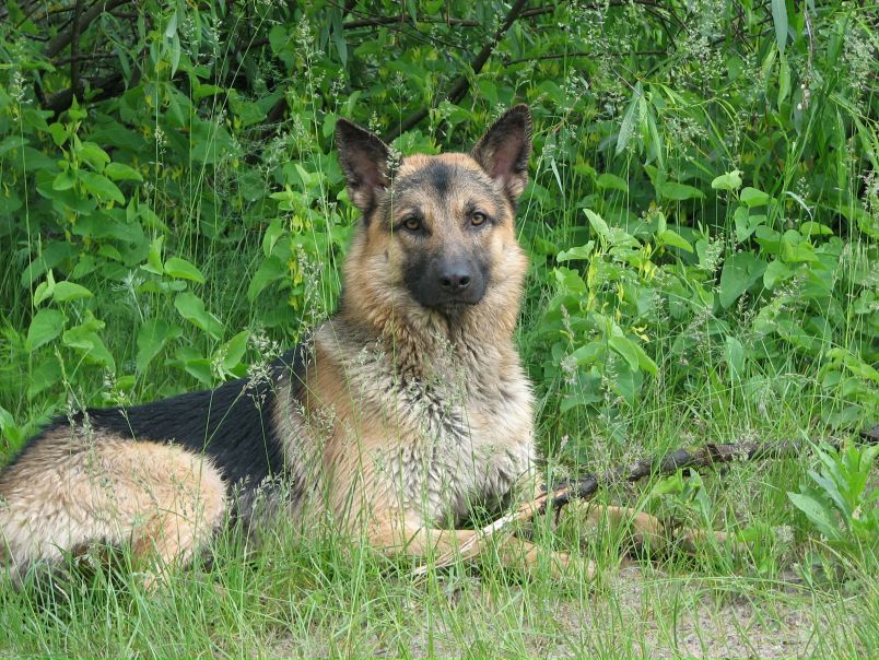 №86, Алексей Мартынюк, 40 лет, Киев №86, Алексей Мартынюк, 40 лет, Киев