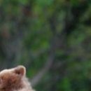 №52, Olga Sokolova, Санкт-Петербург №52, Olga Sokolova, Санкт-Петербург