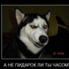 Аватар: Таня Немчанинова