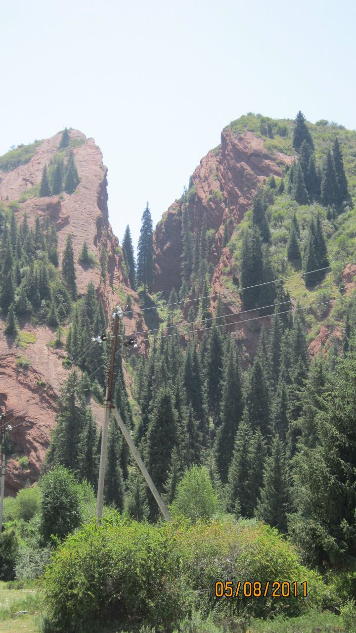 Камила Джандралиева | Санкт-Петербург