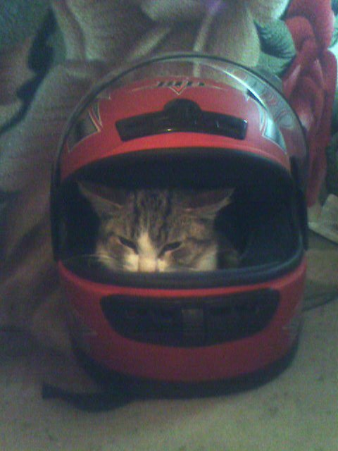 Серёга Рыбкин Seryoga | Близнюки