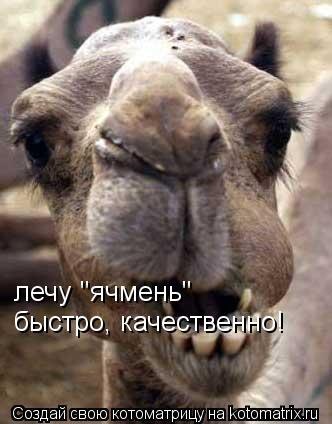 Ирина Гафурова | Советск