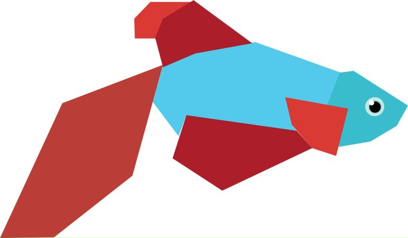 Дмитрий Смаркалов | Кемерово