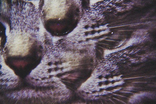 Yulia Hohlova | Челябинск