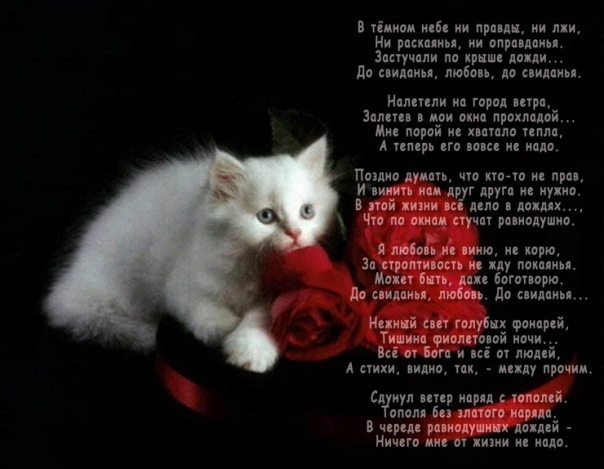 №25, Лера Цыновник №25, Лера Цыновник