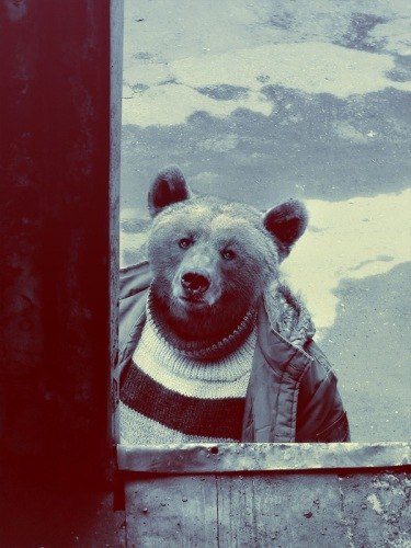 Дмитрий Тихонов | Москва