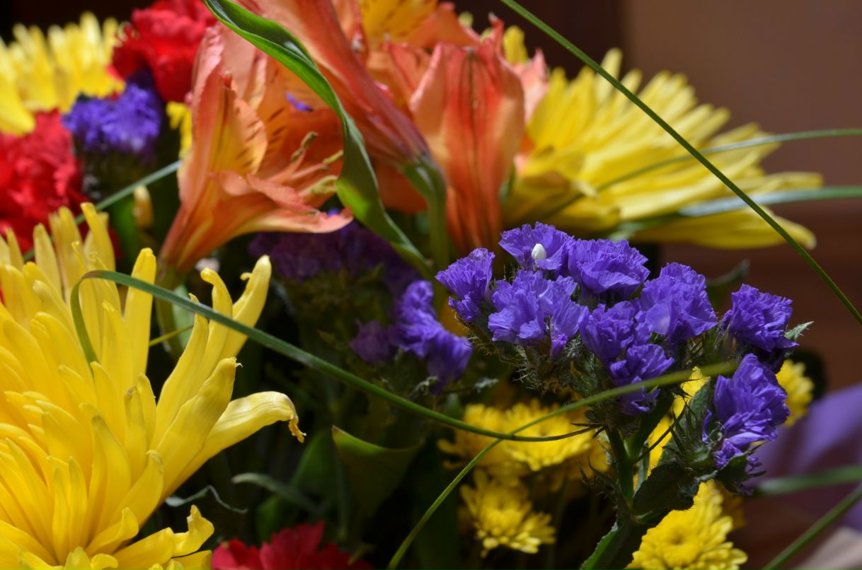 Ольга Шестаева | Самара