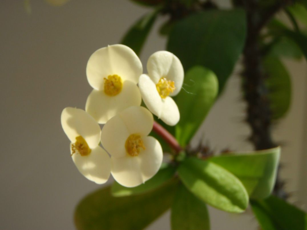 Сергей Гинзбург | Одесса