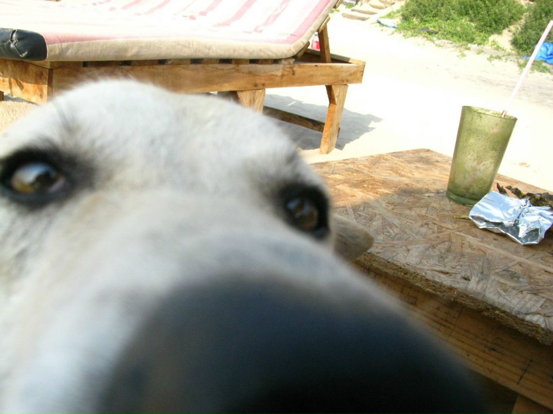 Svetlana Perec РыЖаЯ | Москва