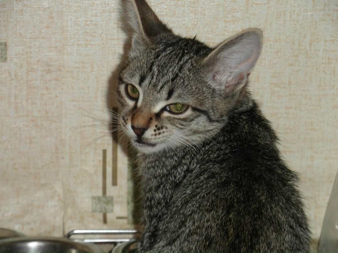 Тимофей Лунегов | Екатеринбург