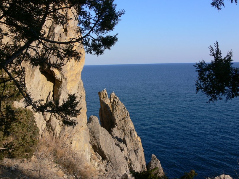 Маришка Решетняк | Черновцы