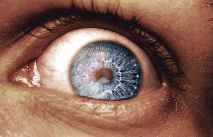 Николай Семенов | Ардашиха