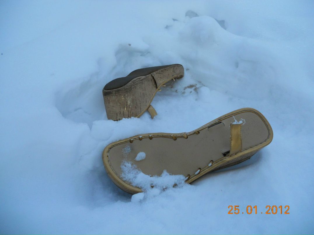 Владимир Барковский | Санкт-Петербург