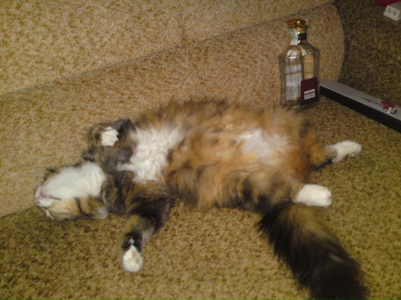 Ируся Голинко | Запорожье