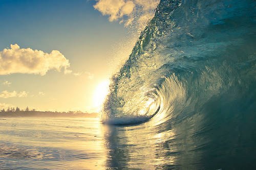 Глеб Мирошниченко | Калининград