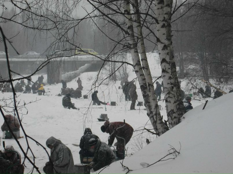 Денис Липтус | Судиславль (пгт)