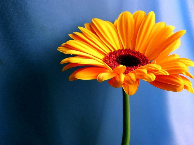 Анастасия Захарова | Глазов