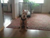 №37 Евгений Мелихов 19.07.1985: профиль, фото, статус - ВКонтакте №37 Евгений Мелихов 19.07.1985: профиль, фото, статус - ВКонтакте