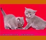 Христина Драганчук | Тернополь