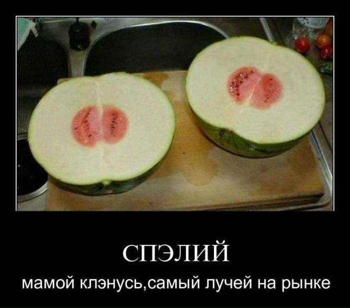 №35, Михаил Паршин №35, Михаил Паршин