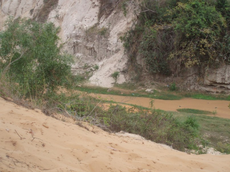 Наталия Нечаева | Вологда