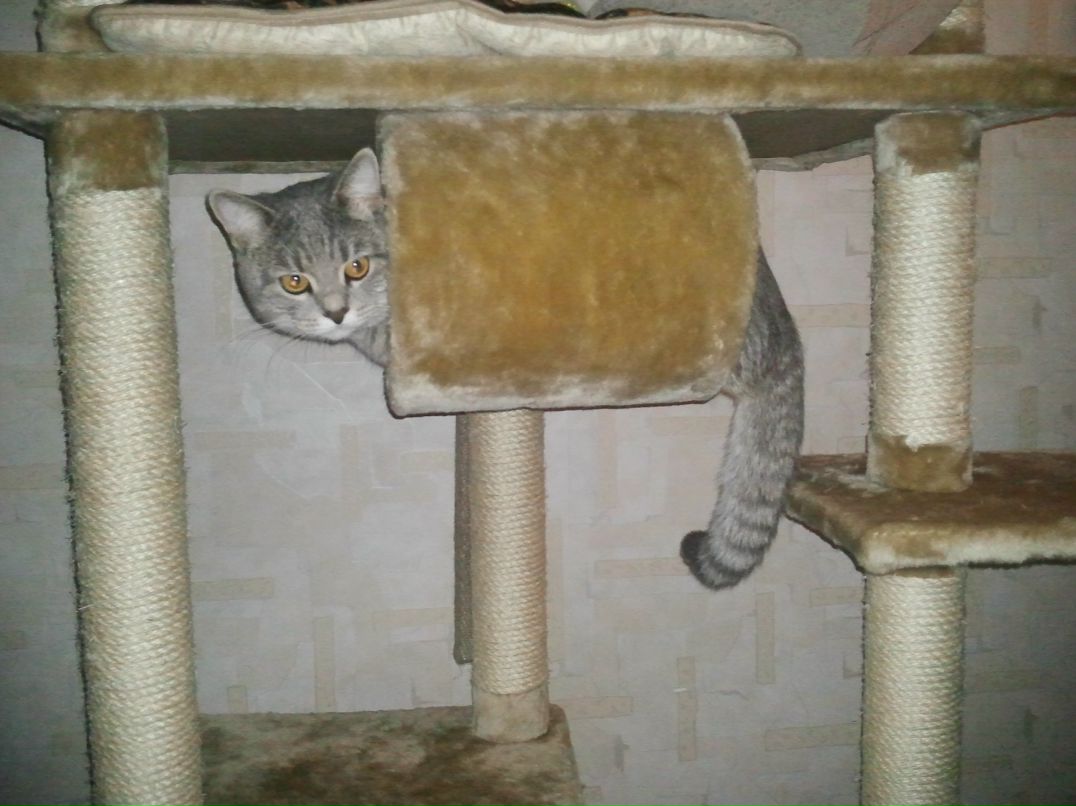 Дмитрий Савенок | Москва