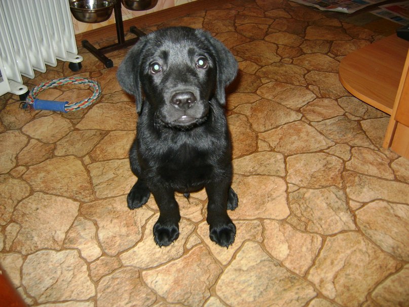 Паша Роскин | Мурманск