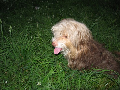 Юрий Ковбаса | Запорожье