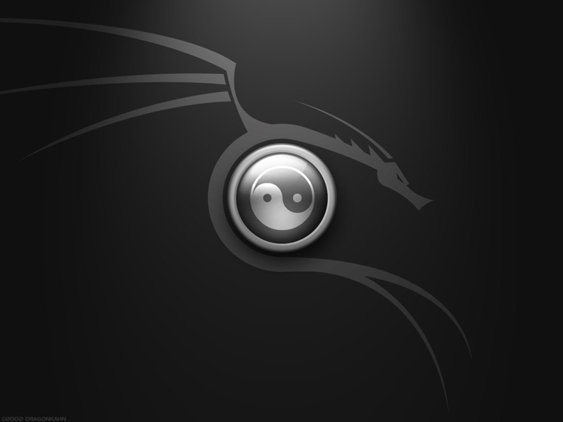 Дмитрий Литвинский Gilardino | Челябинск