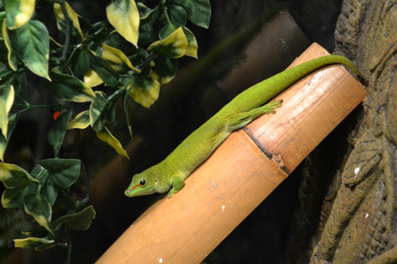 Александр Крылов μίσοςάνθρωπος | Воронеж