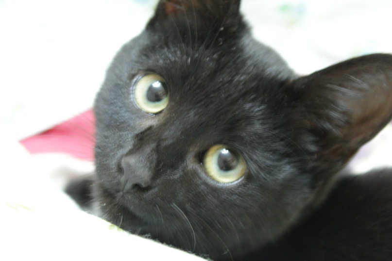 Сергей Погудин | Балашов