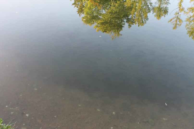 Сергей Евсеев Evsei | Москва