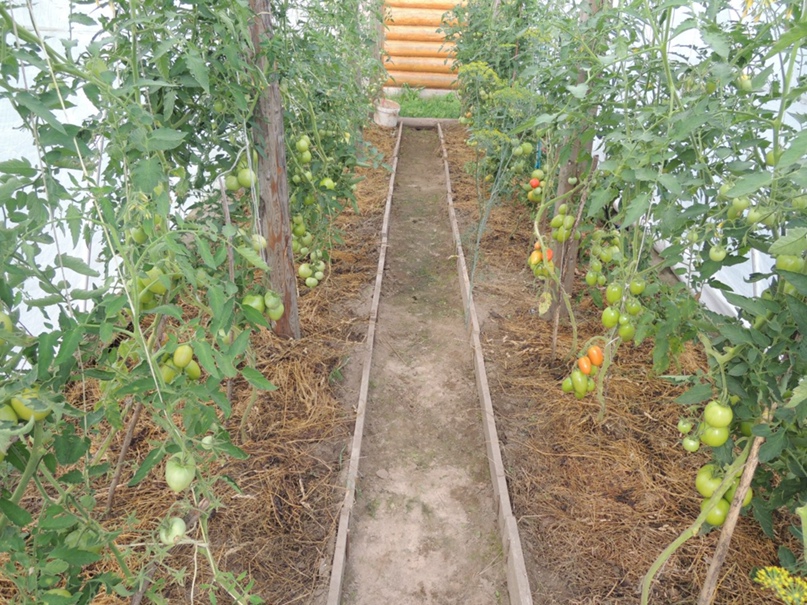 Надежда Казакова | Великие Луки