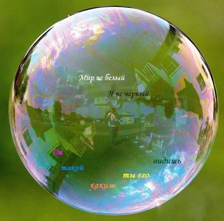 Вика Зайцева | Великий Новгород