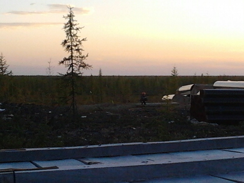 Александр Артемьев | Бугуруслан