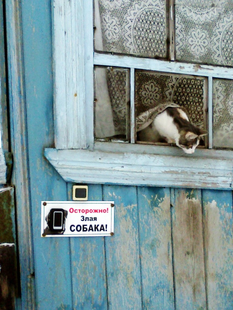 Рыська Гонщик Анна | Архангельск