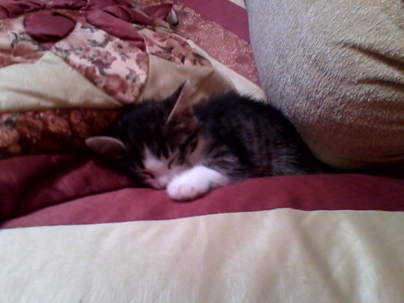 Даша Жукова | Нижневартовск