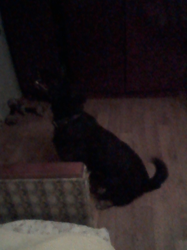 Сергей Гончар | Новочеркасск